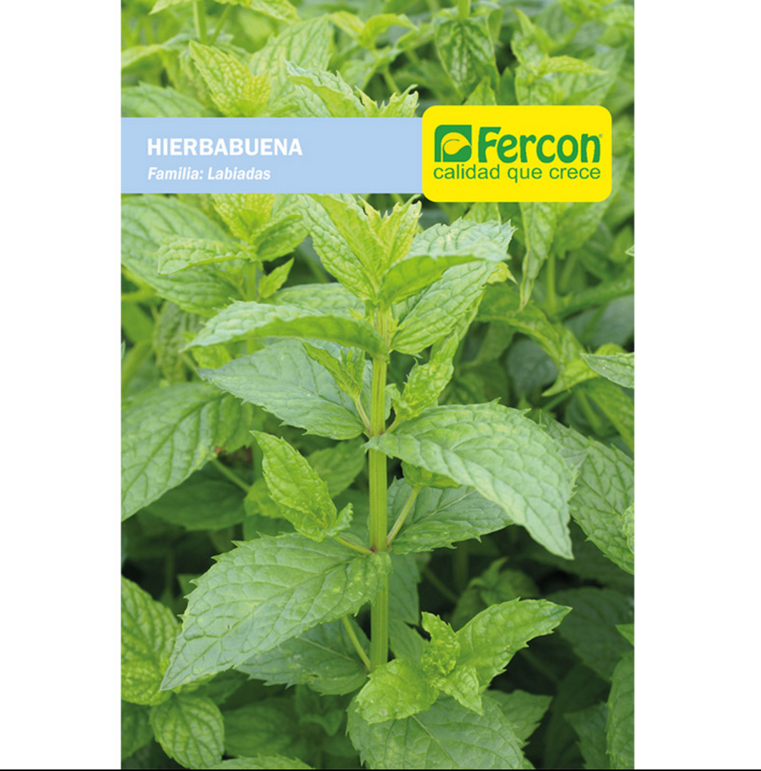 HIERBABUENA