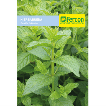 Imagen del producto HIERBABUENA