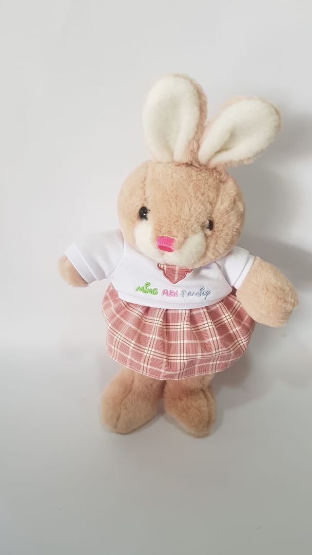 CONEJA VESTIDO 35CM