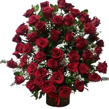 Imagen del producto Ramo 48 rosas rojas 