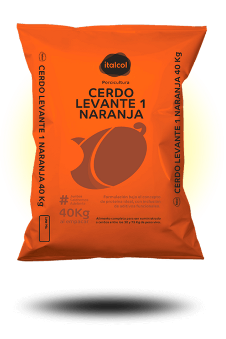 Cerdo levante 1 naranja
