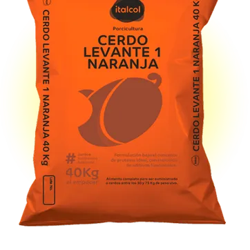 Imagen del producto Cerdo levante 1 naranja