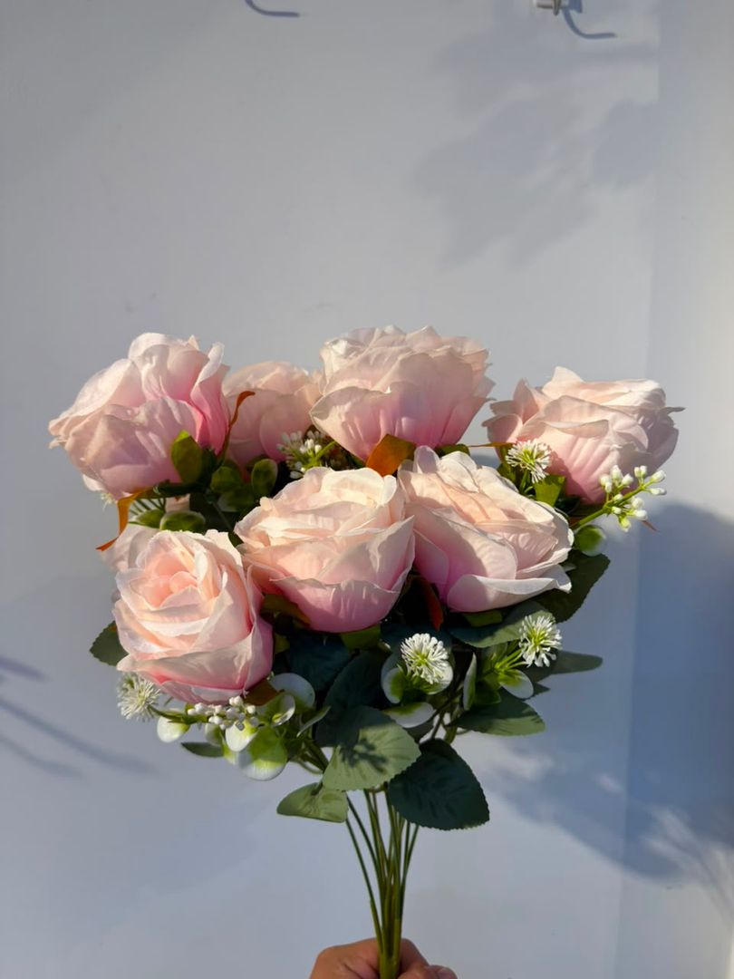 ROSA X 12 ROSA CREMA