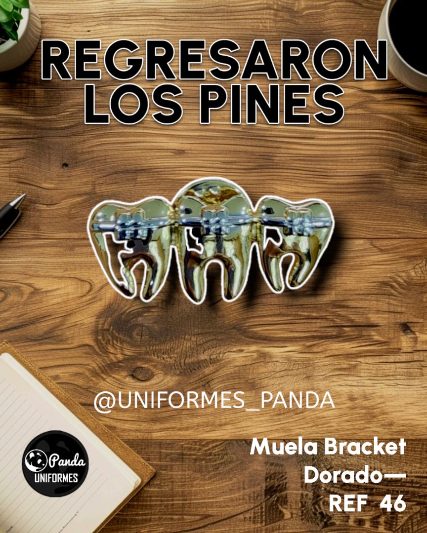 PIN MUELITA