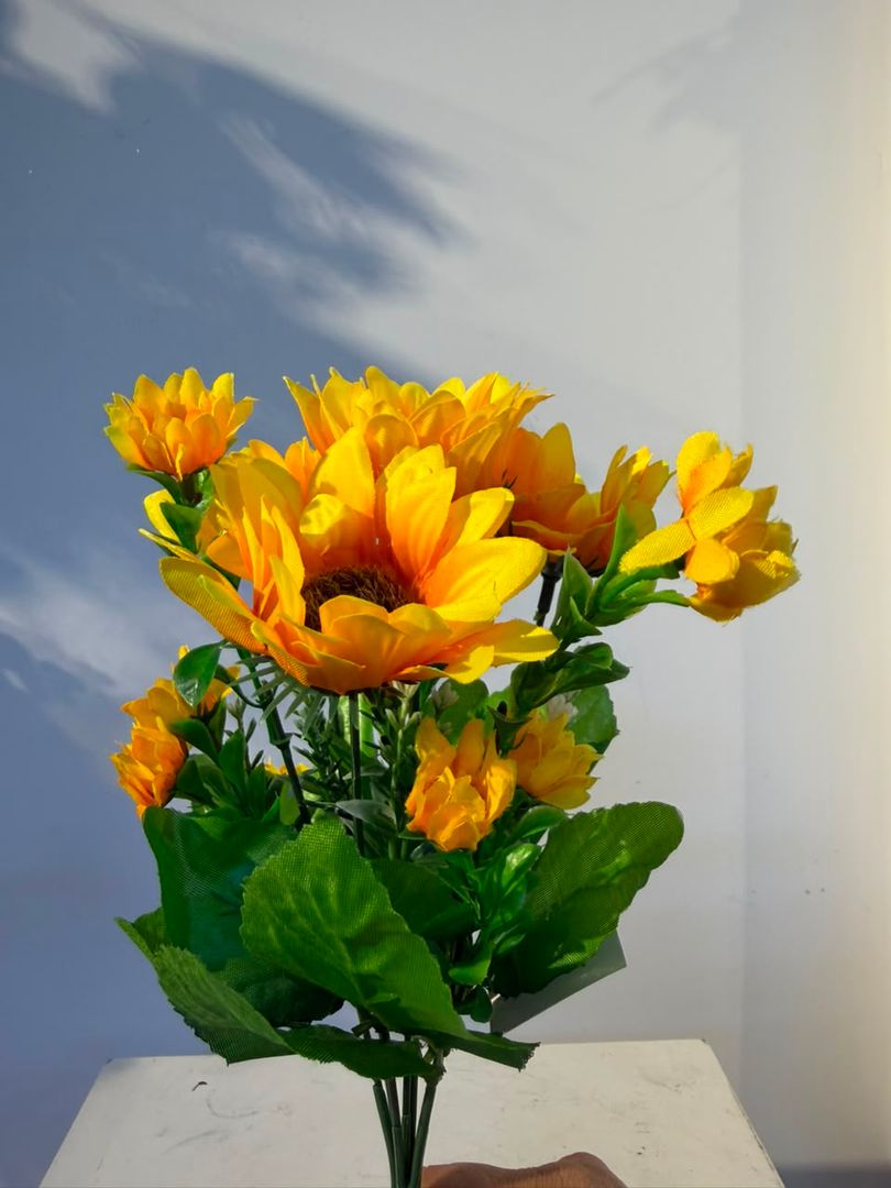 GIRASOL X 6 VARIADO