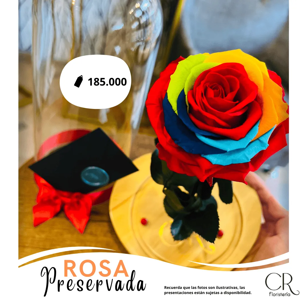 Rosa Preservada