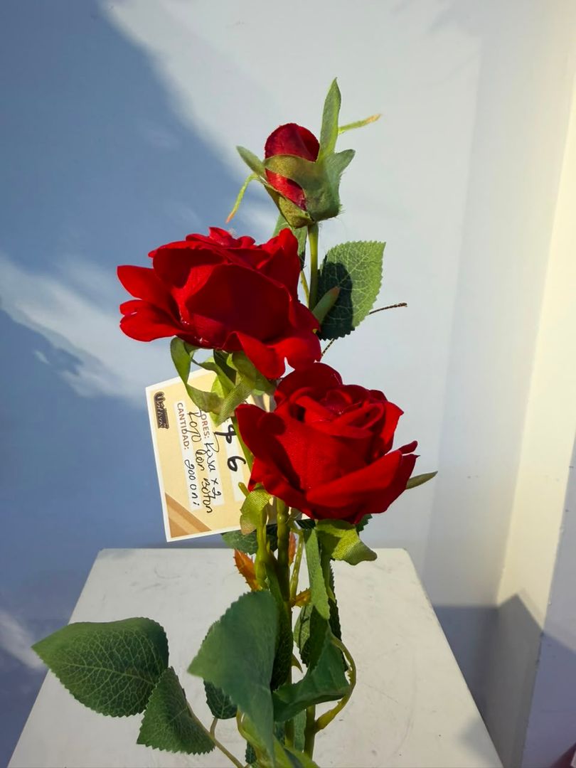 VARA DE ROSA X 2 CON BOTON ROJA