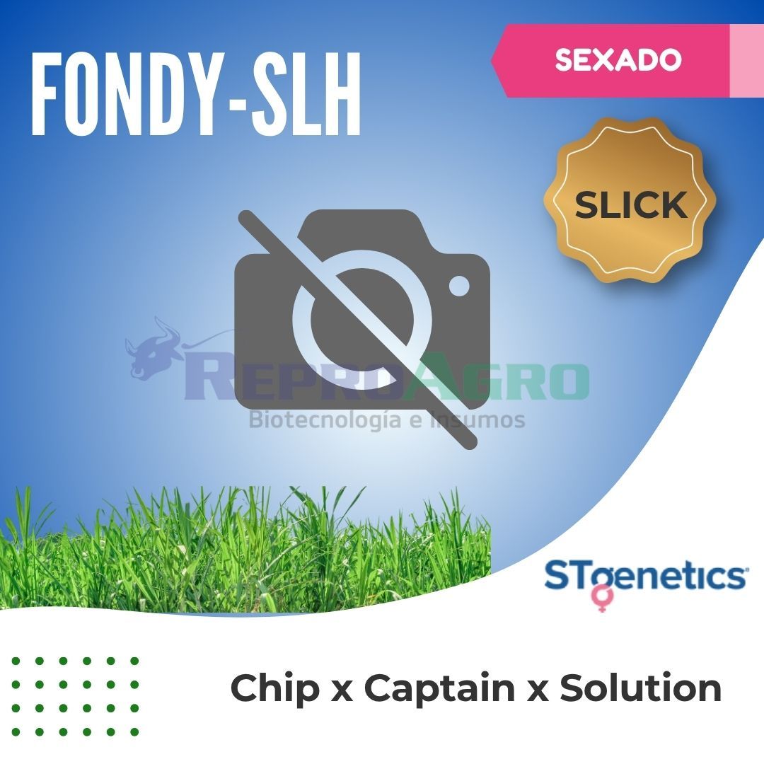 FONDY-SLH SEXADO