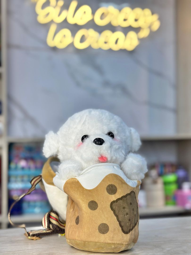 PERRO POCHACO GALLETA