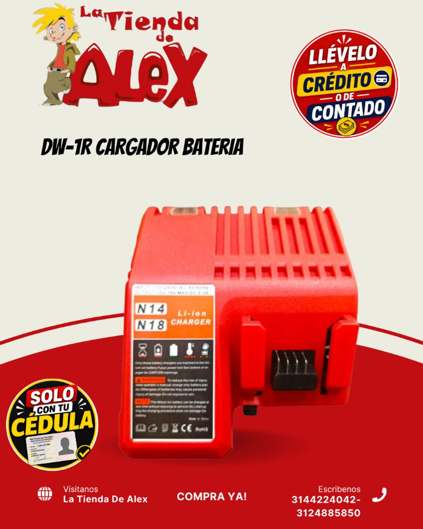 DW-1R CARGADOR BATERIA