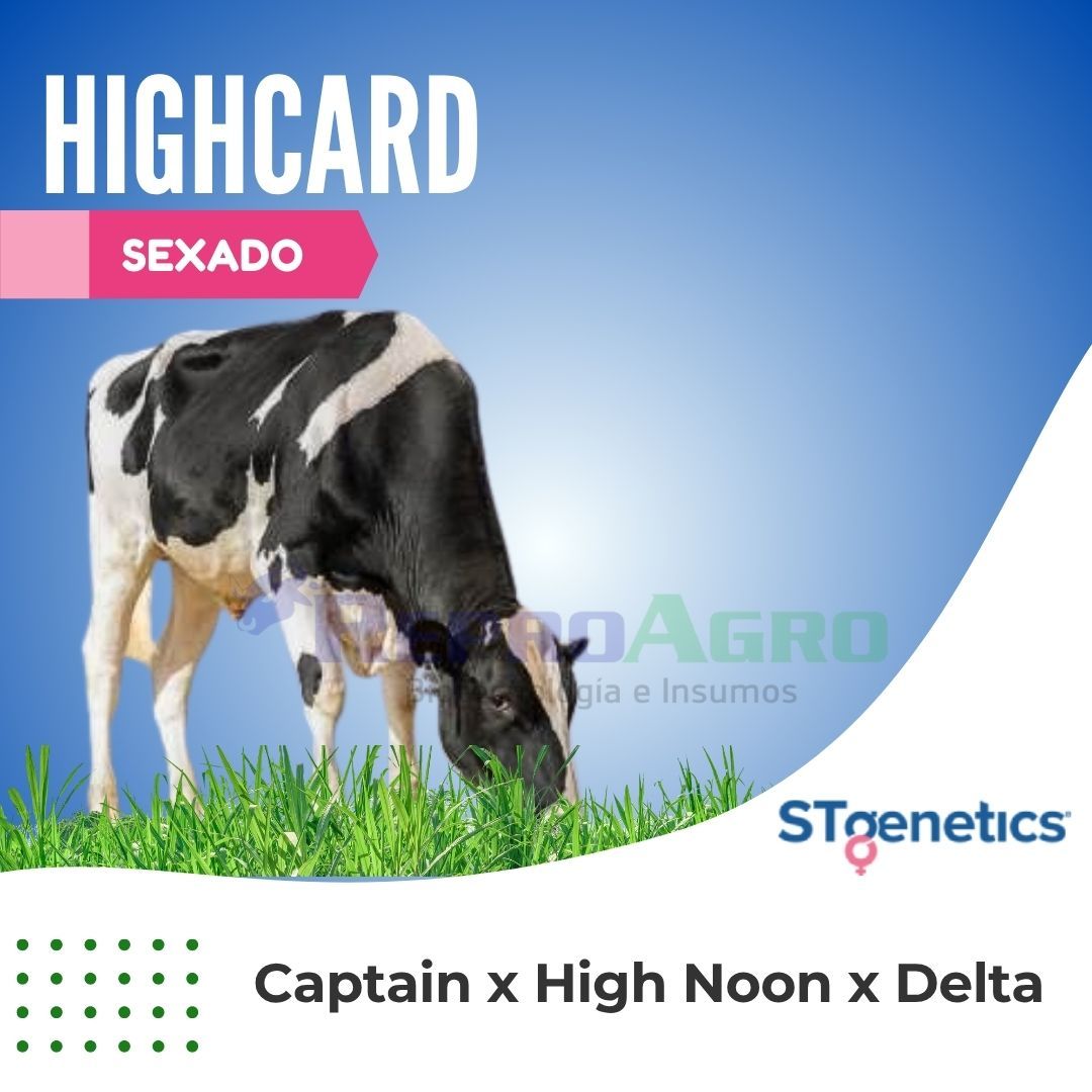 HIGHCARD SEXADO
