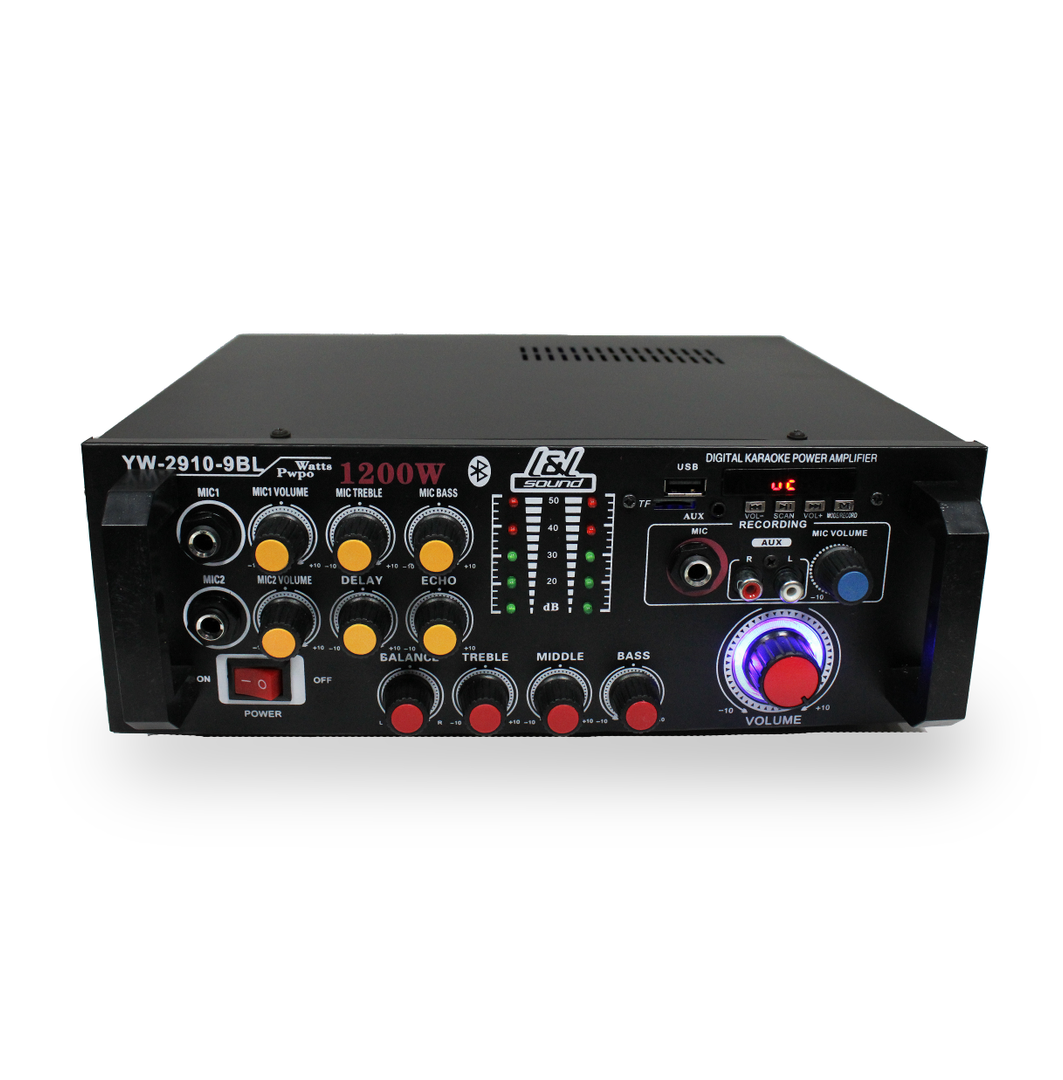 AMPLIFICADOR MINI YW2910 9BL LYL SOUND 