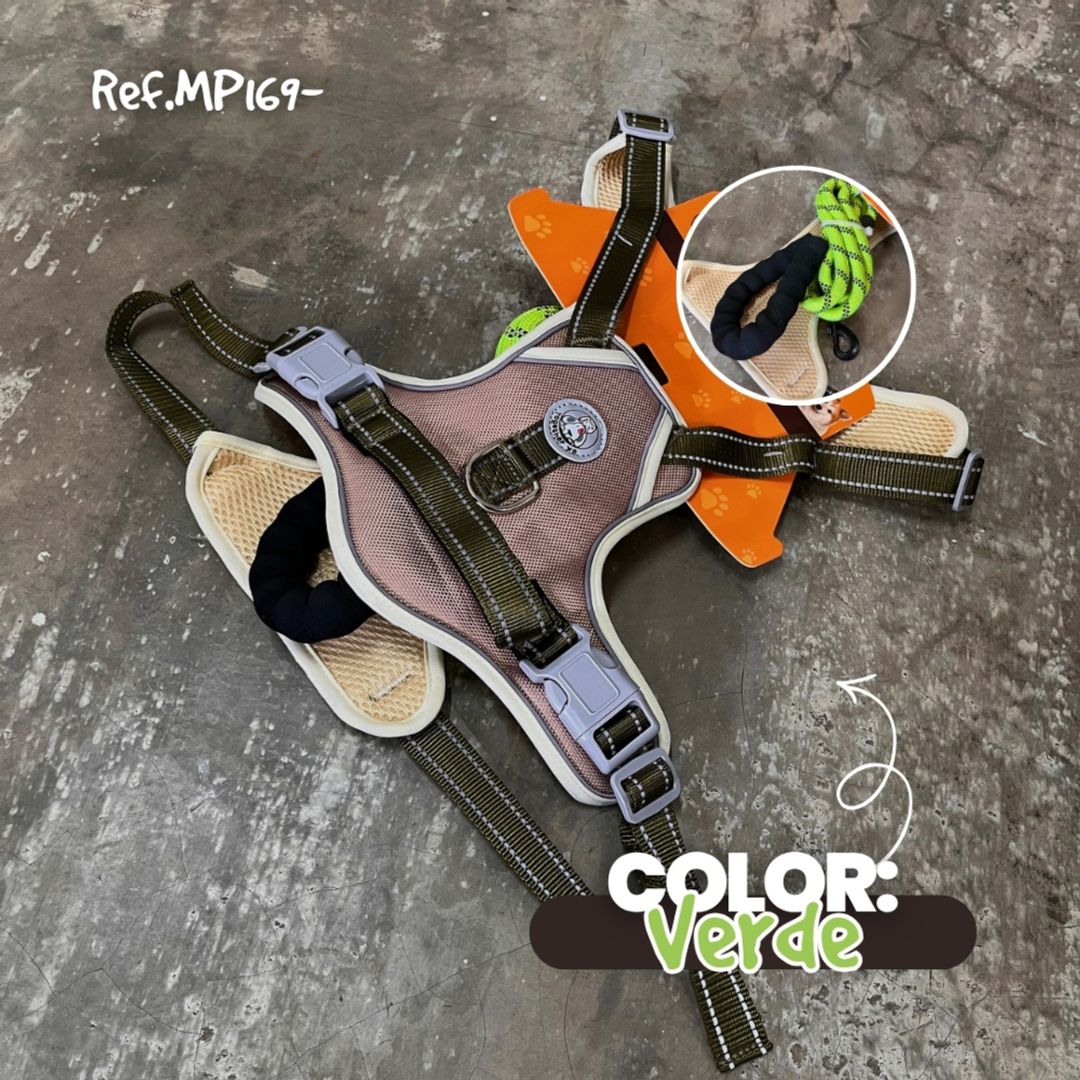 MP169-