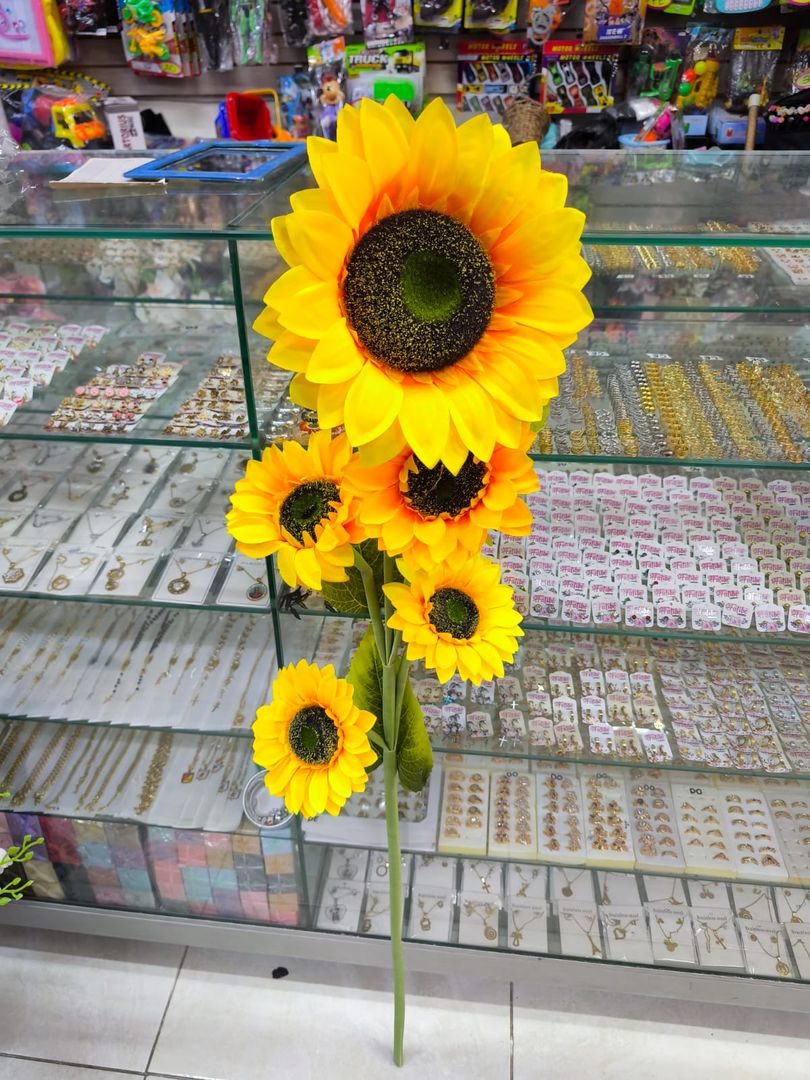 GIRASOL TALLO LARGO RS/046