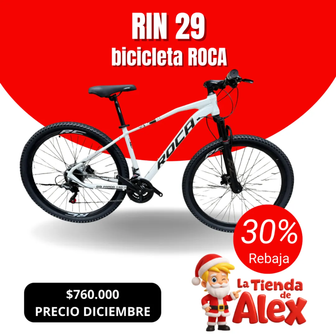 RIN 29 ROCA