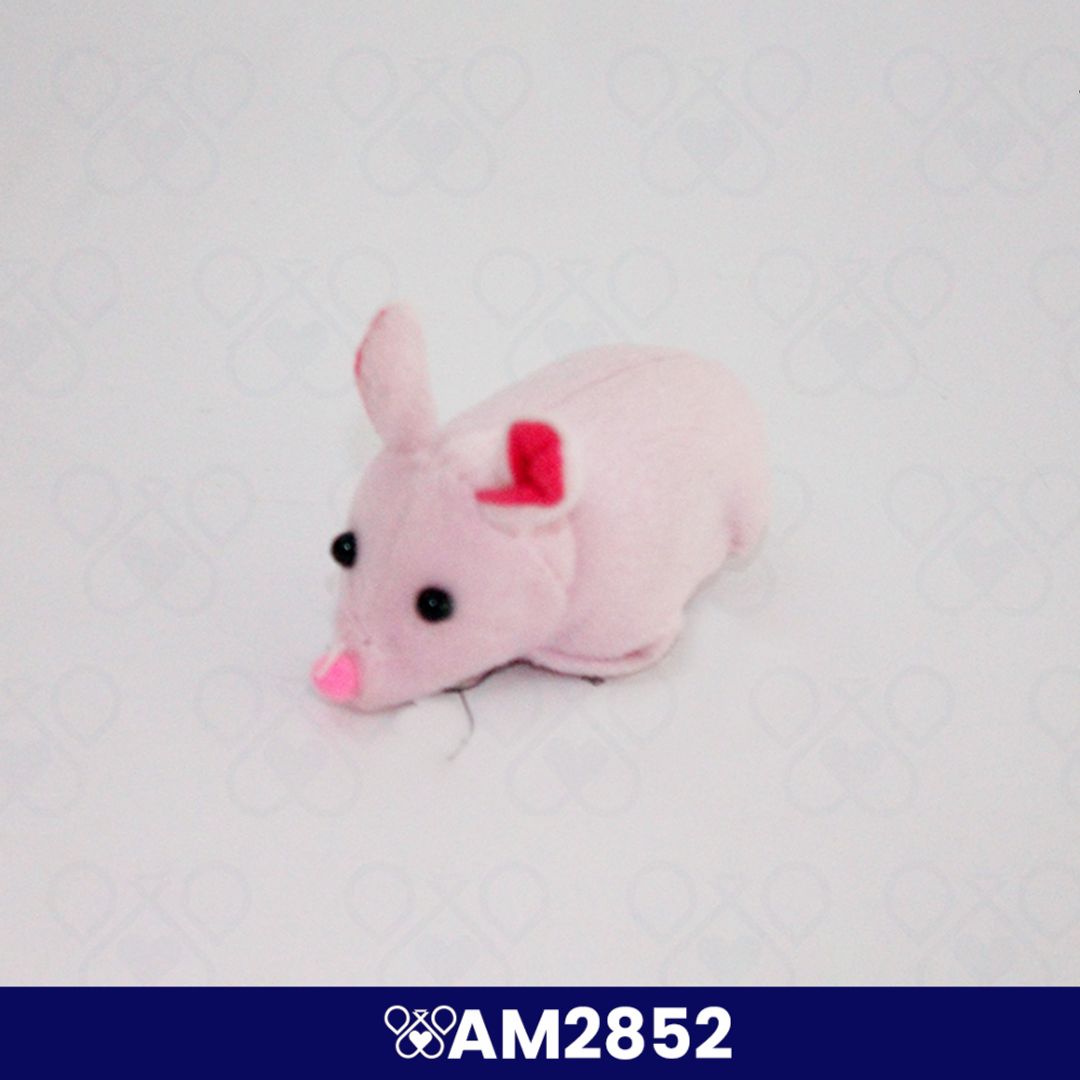 AM2852
