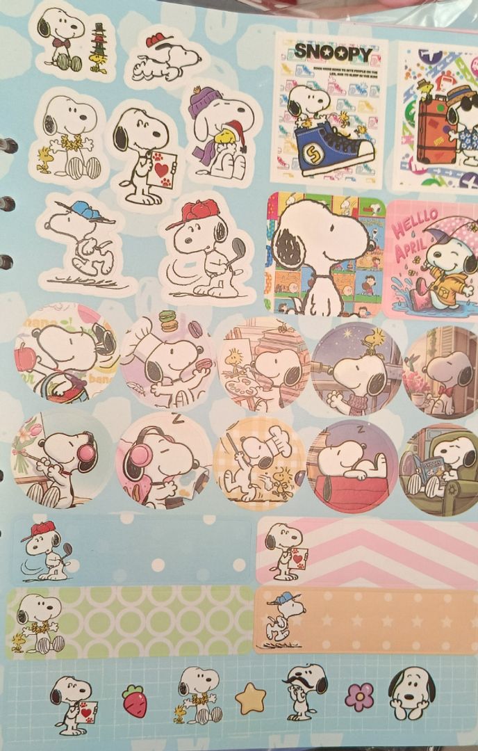 Folder snoppy