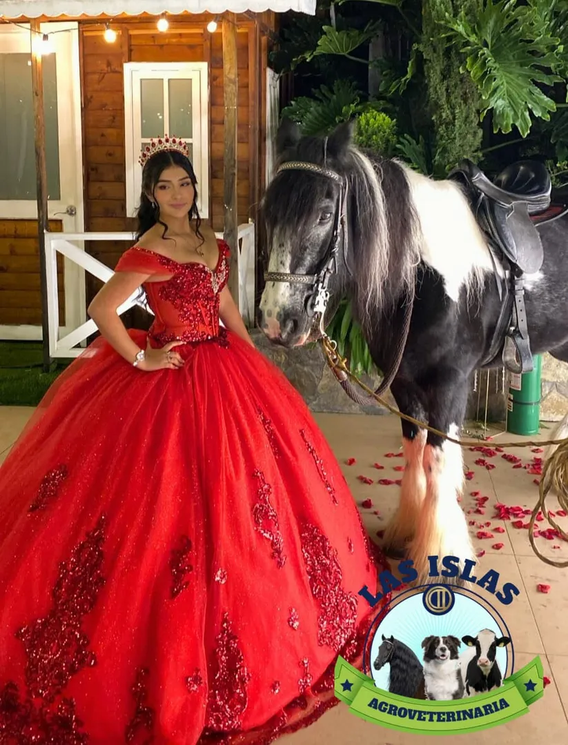 ALQUILER DE CABALLO PARA EVENTO