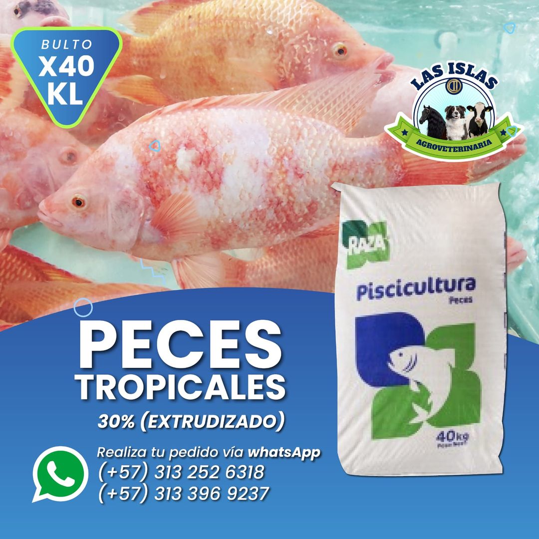 PECES TROPICALES 30%