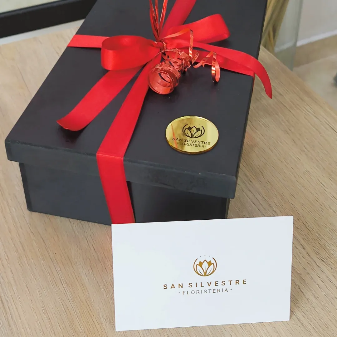 BOX SELLADA BAILEYS