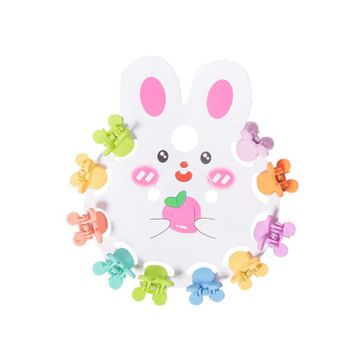 Imagen del producto Accesorios Piojitos Cabello 10 und