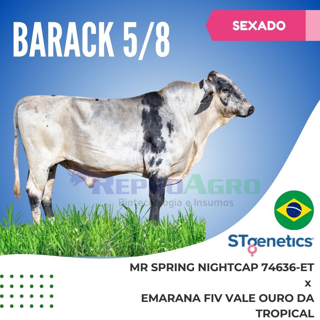 BARACK SEXADO