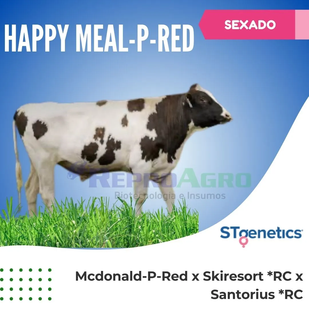 HAPPY MEAL-P-RED SEXADO