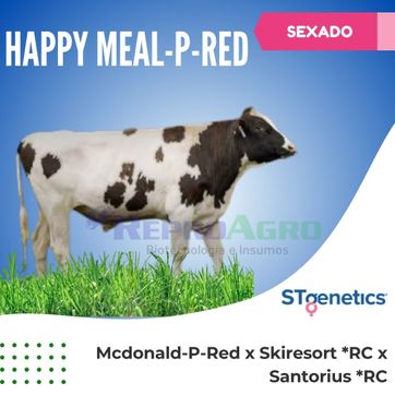 HAPPY MEAL-P-RED SEXADO - imagen 1