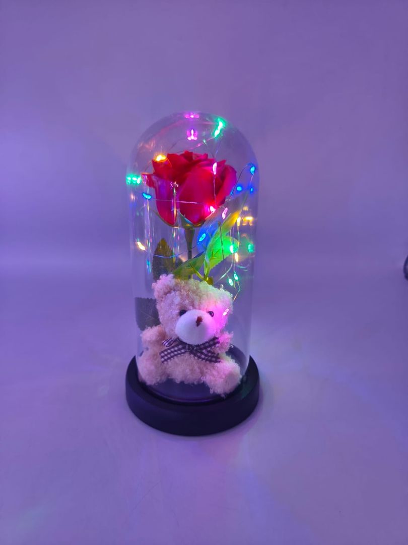 Burbuja luz con oso PM 289