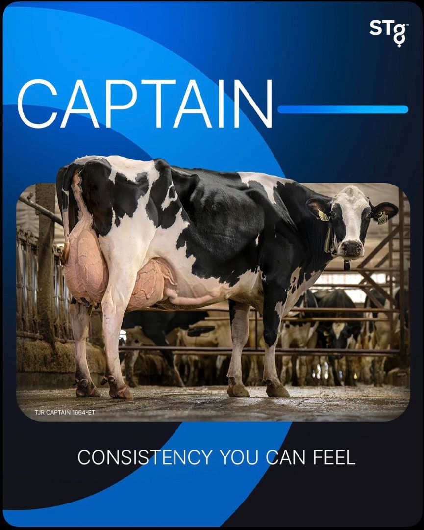 CAPTAIN 