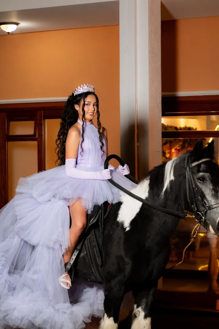 ALQUILER DE CABALLO PARA EVENTO