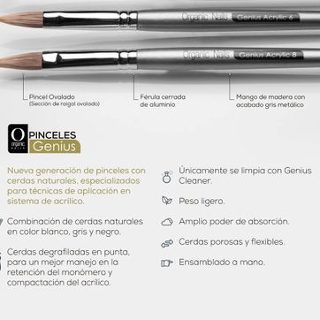 Imagen del producto PINCEL GENIUS