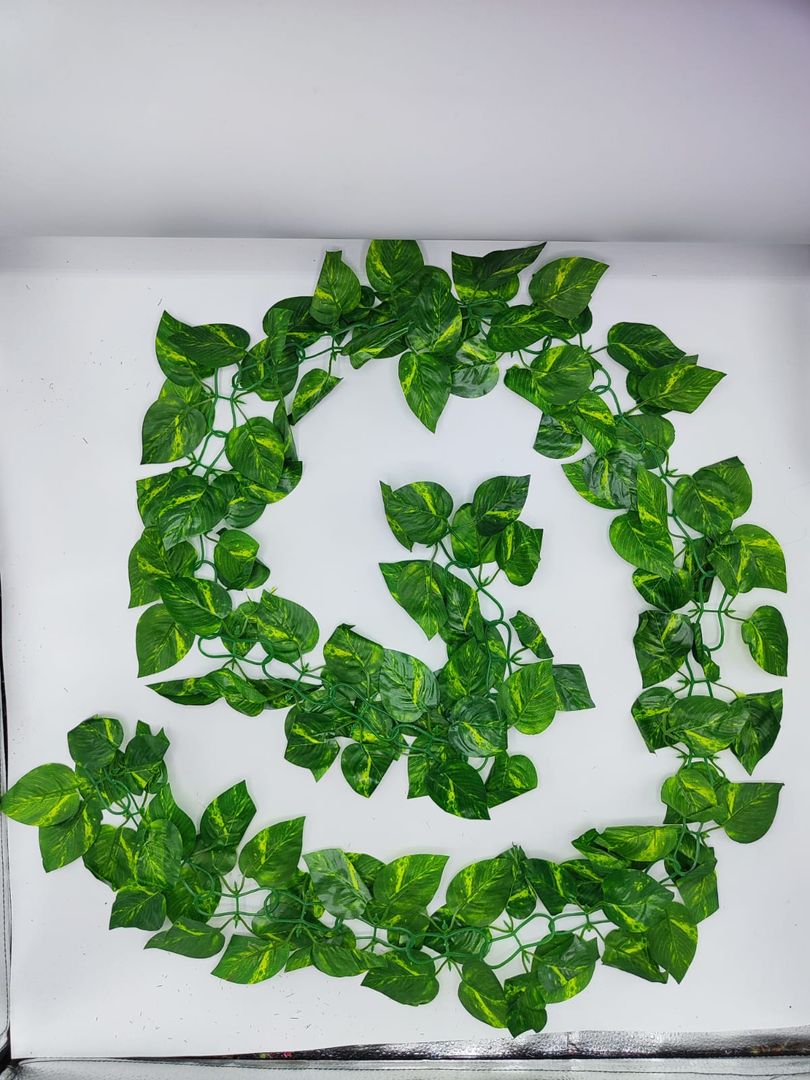 Enredadera de hoja  doble NA 007