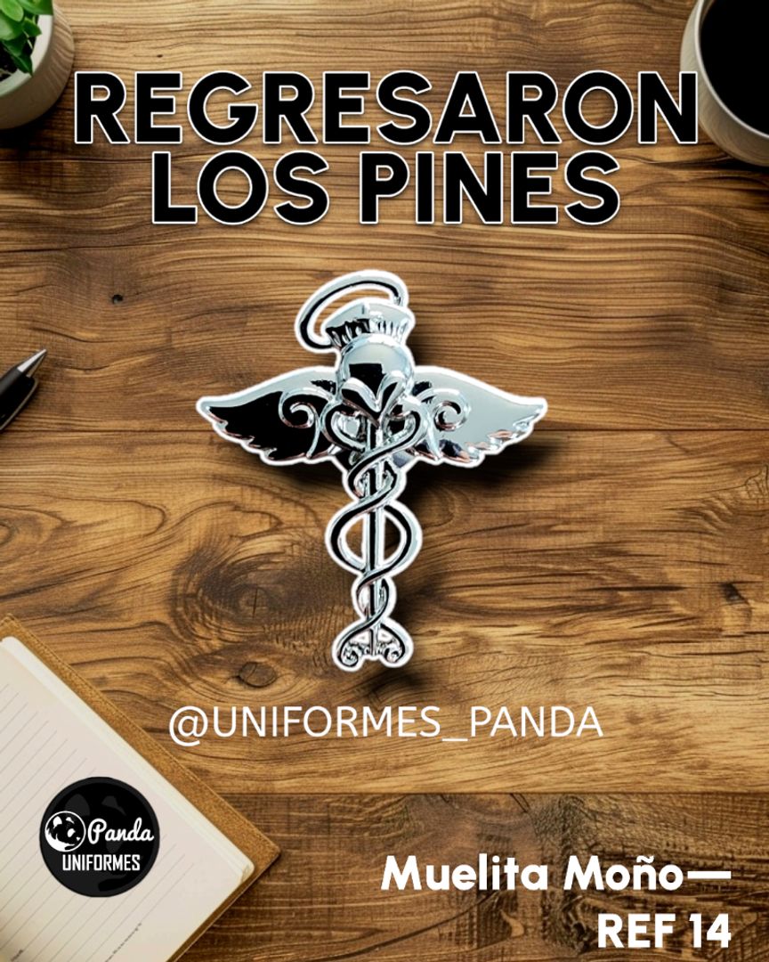 PIN ALAS 