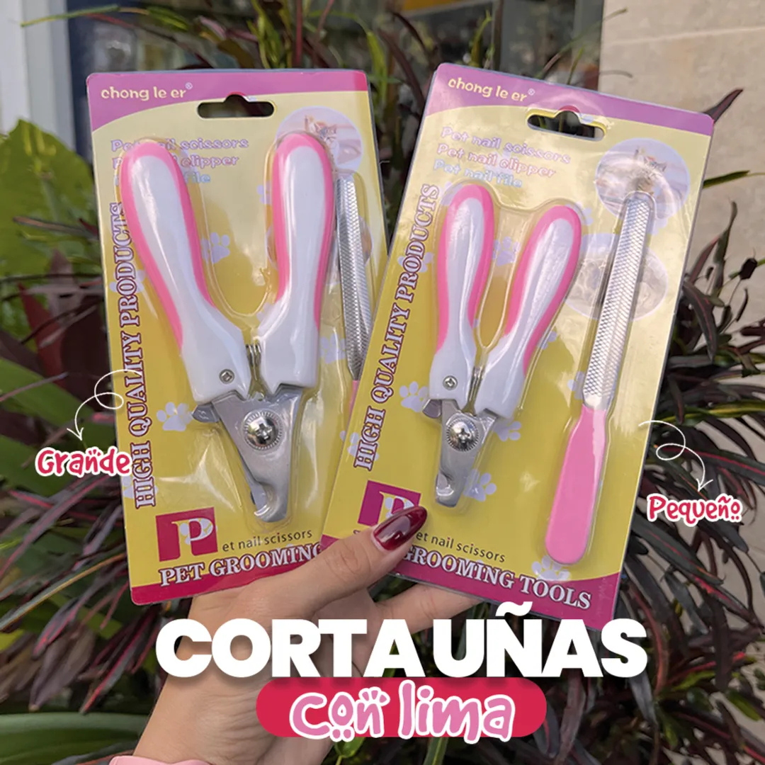 CRG01-