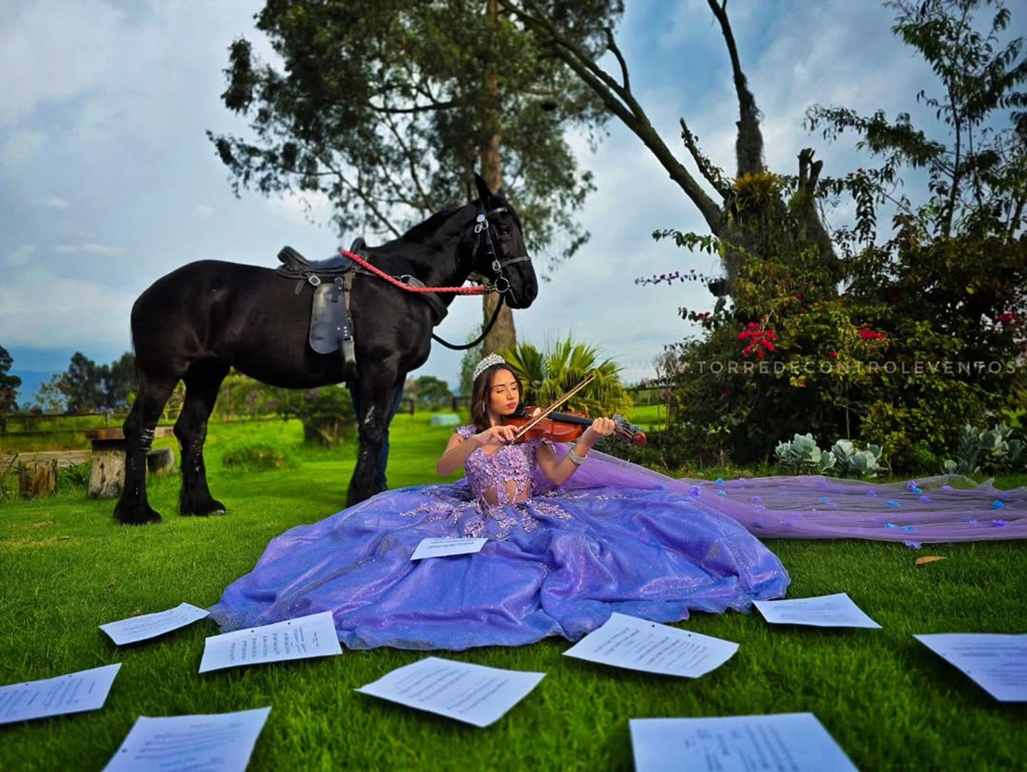 ALQUILER DE CABALLO PARA EVENTO