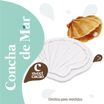 Concha de Mar - imagen 1