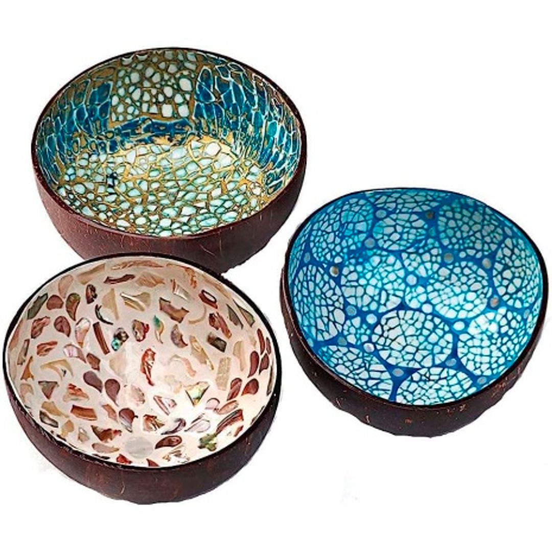 COCONUT BOWL CON NACAR 3 PINTAS MT0128-12