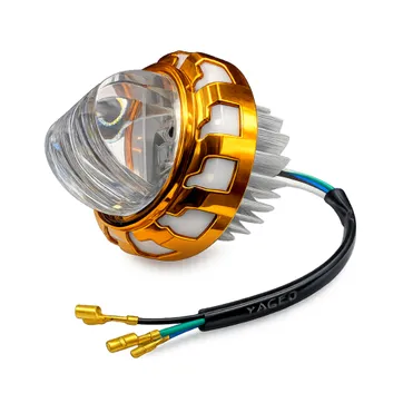 Imagen del producto MINI SGQ-DORADA EXPLORADORA