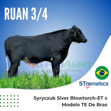 RUAN - imagen 1