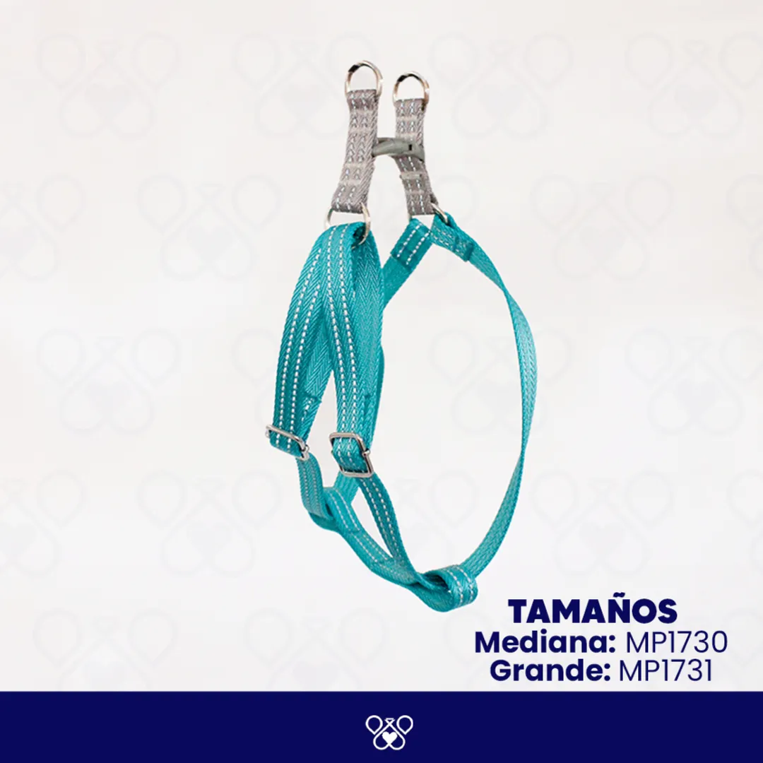 MP173-