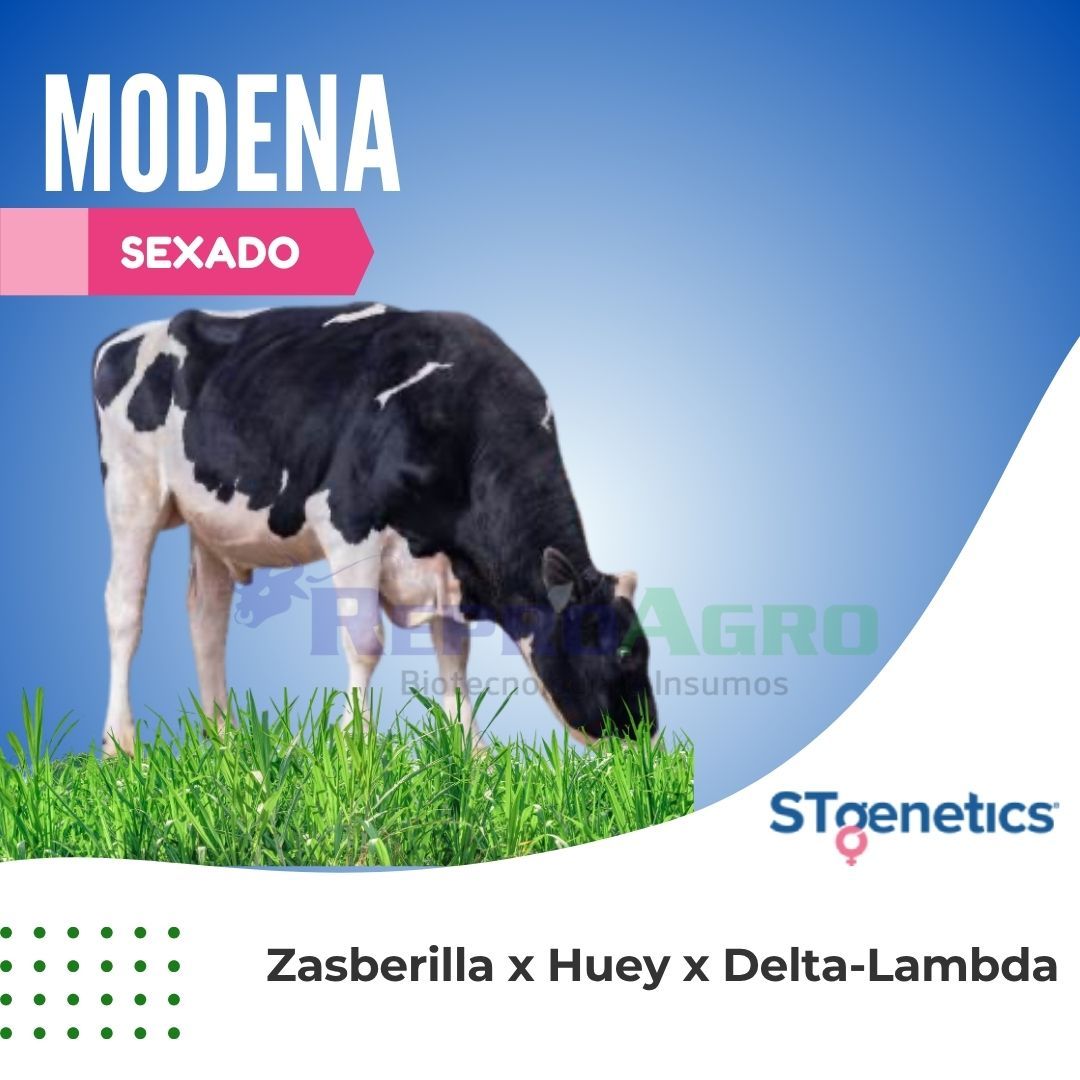 MODENA SEXADO