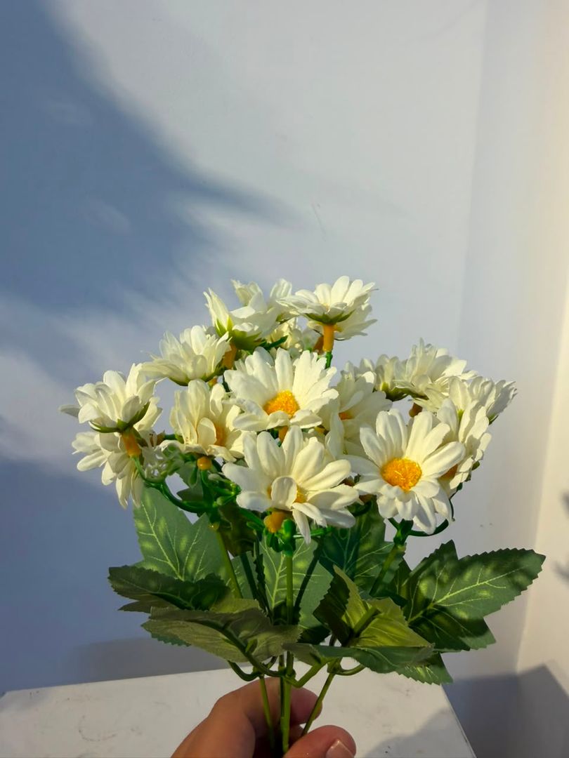 MINI MARGARITA BLANCA X 5 VARAS