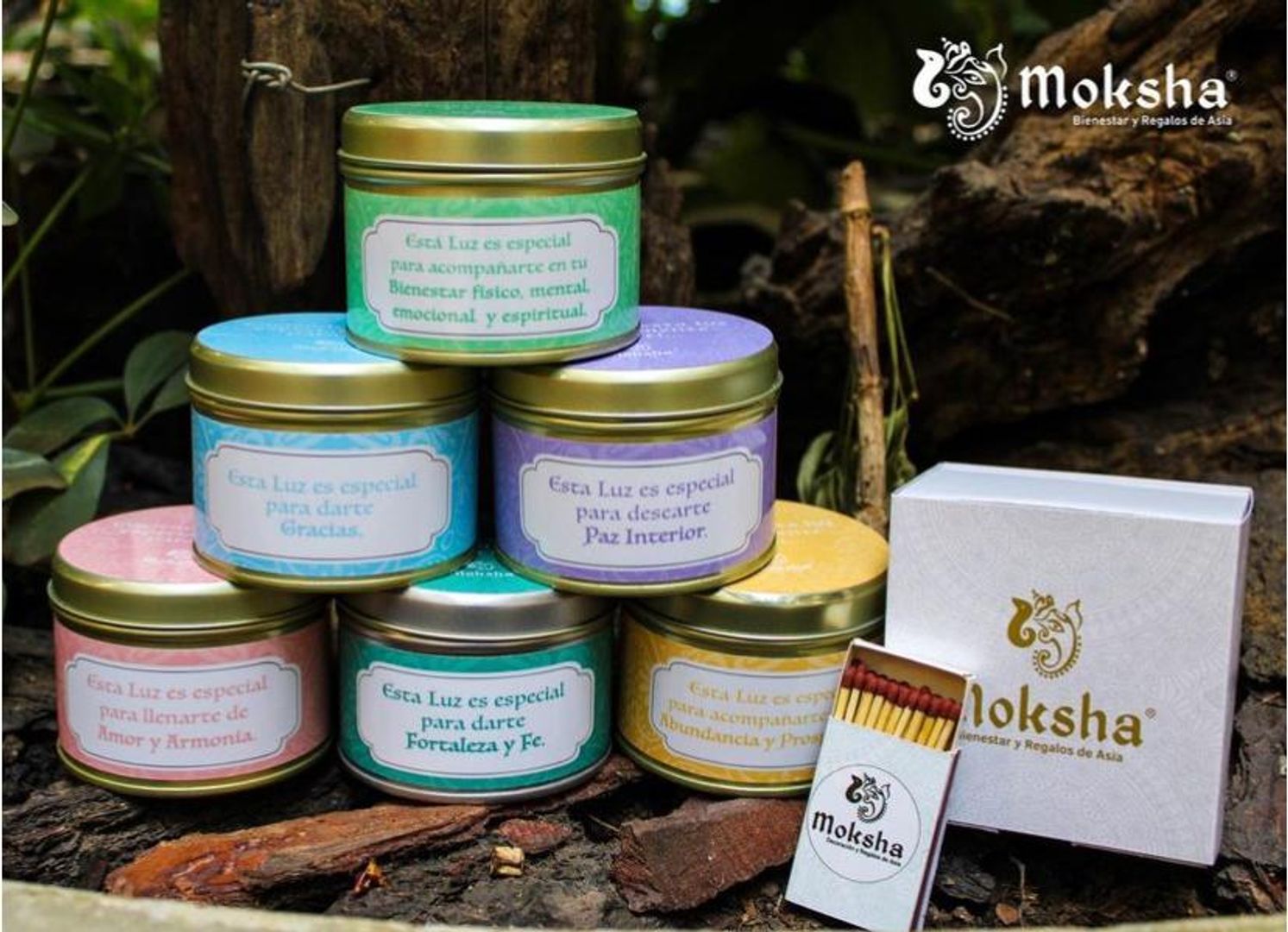 Prosperidad y Abundancia 