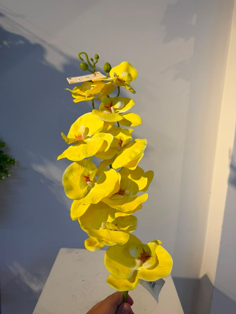 ORQUIDEA EN VARA X 9 AMARILLA