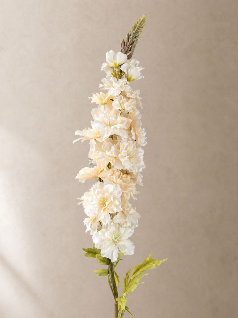 Vara de Delphinium 