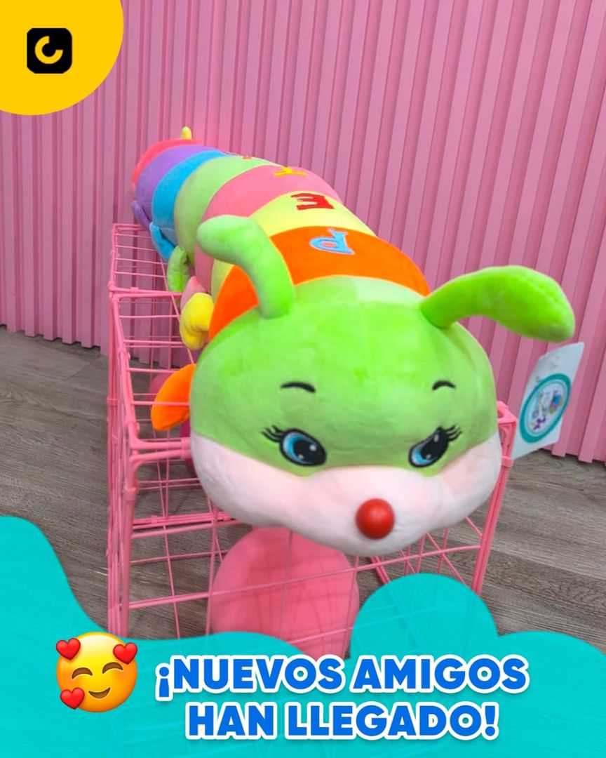ORUGA DE COLORES 