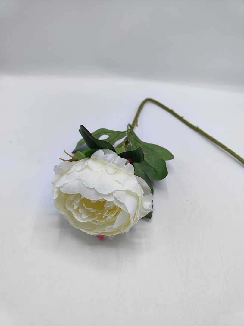 FLOR PEONIA INDIVIDUAL TG 680