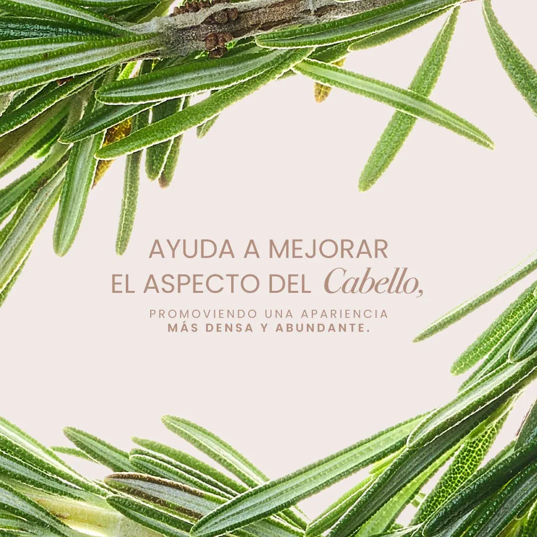 Bioterapia con Romero 