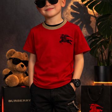 CAMISA BURBERRYY - imagen 1